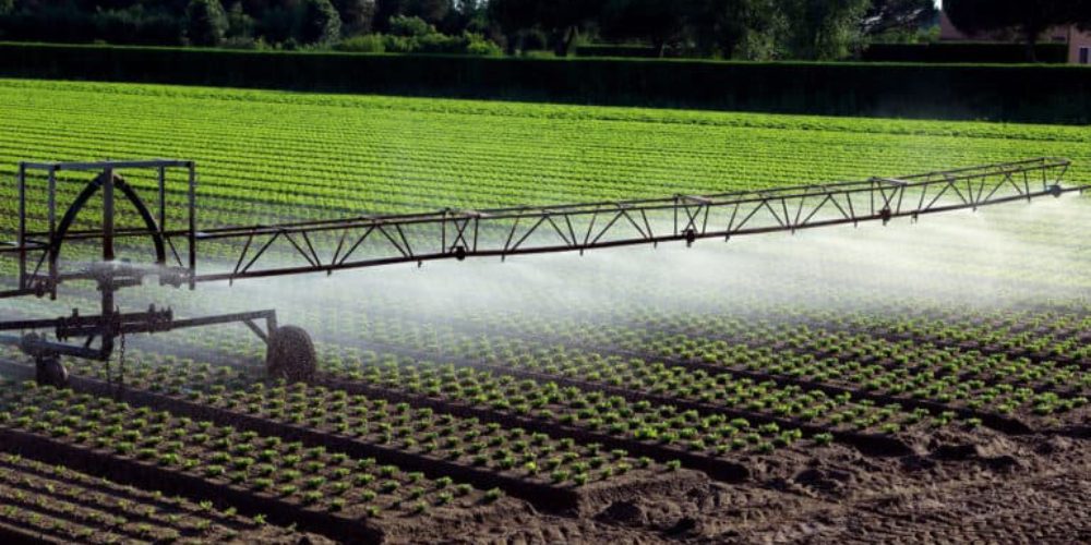 Irrigation - Socete Eco Ltd Agriculture Services