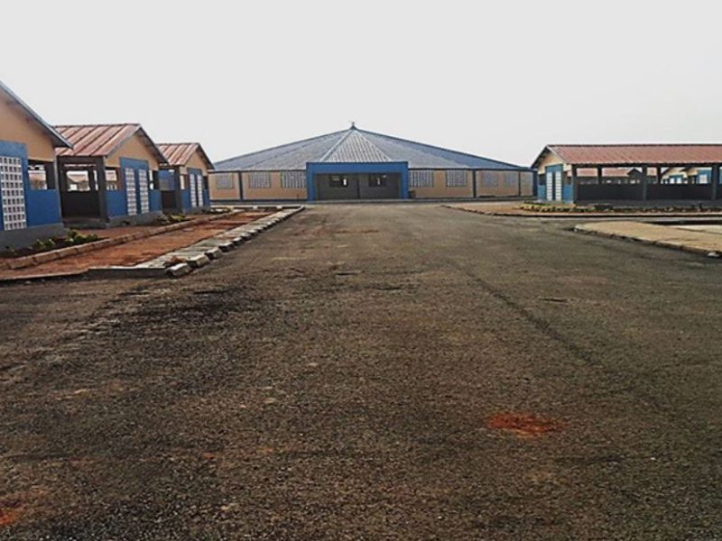 New Niamtougou (Togo) March - Socete Eco Ltd Project